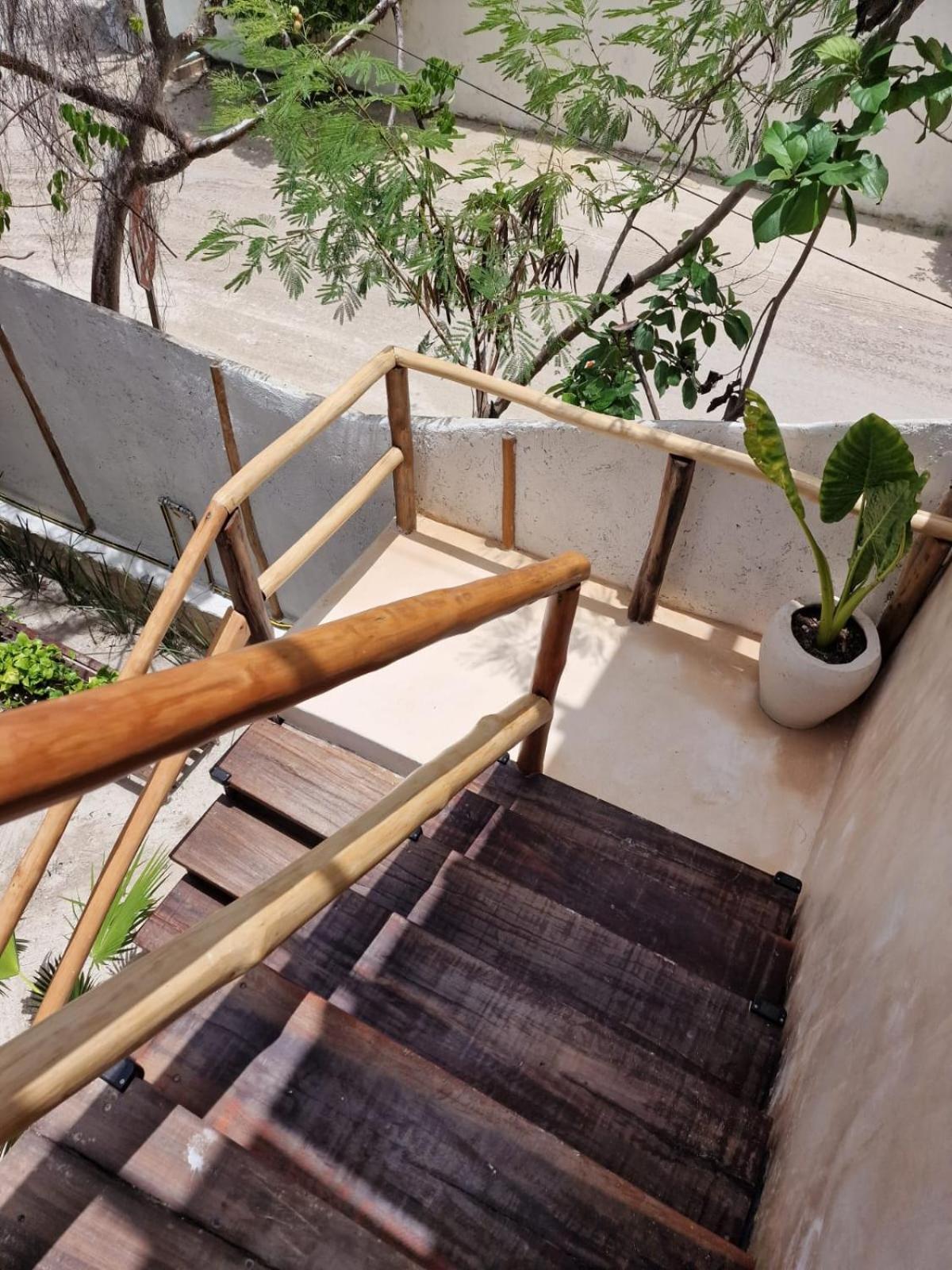 Luna Y Sol Glamping Holbox المظهر الخارجي الصورة